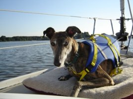 Rider on the foredeck.jpg