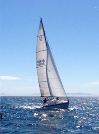 Reggie Sailing 2.jpg