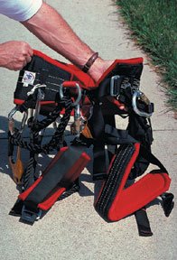 Harness.jpg