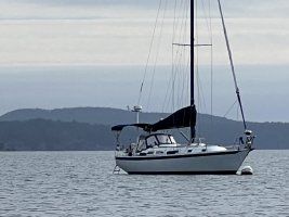 IMG_7575.jpeg