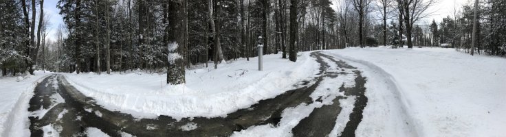 At Top of Hill, Early Feb small.jpg