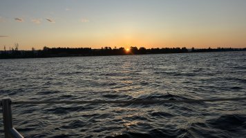 IMG_8736.jpeg