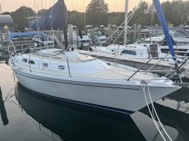IMG_2770.jpeg