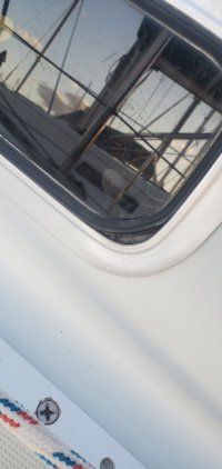 20250825_191345.jpg