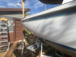 IMG_1338.jpeg