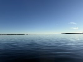 7E9D0097-CDBA-44E1-BB69-7E282782E413_1_105_c.jpeg