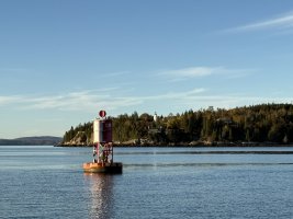 084E8529-B588-405D-B7A0-F70E2191B6C2_1_105_c.jpeg