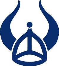 ericson-helmet-logo.jpg