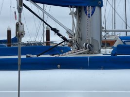 IMG_4277.jpeg