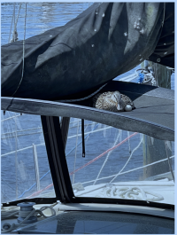 1769631277637.png