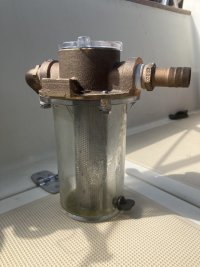 IMG_2498.jpeg