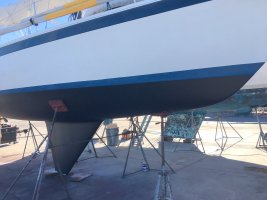 E381 Petit Trinidad bottom paint, black.JPG