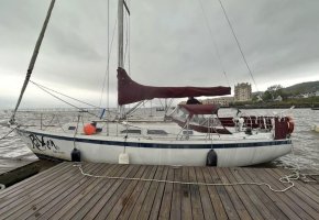 IMG_8938.jpeg