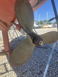 IMG_2560.jpeg