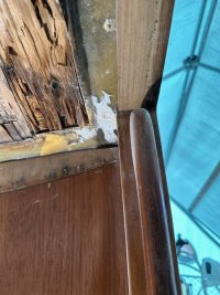 IMG_9906.jpeg