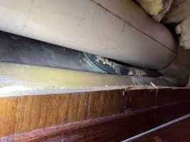 IMG_1901.jpeg