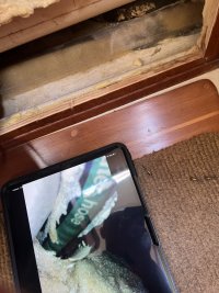 IMG_1902.jpeg