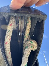 IMG_0858.jpeg
