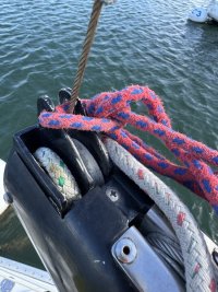 IMG_0862.jpeg