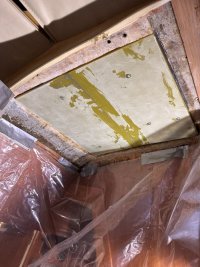 IMG_9957.jpeg