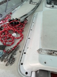 IMG_9858.jpeg