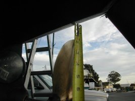 prop1.jpg