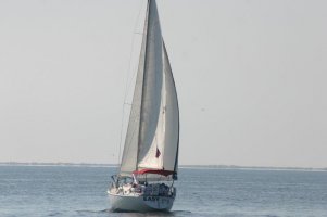 316169_10150308583924761_140339454760_7580781_5527810_n.jpg