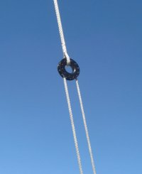 Low Friction Ring.jpg