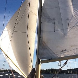 new.staysail.wing.and.wing