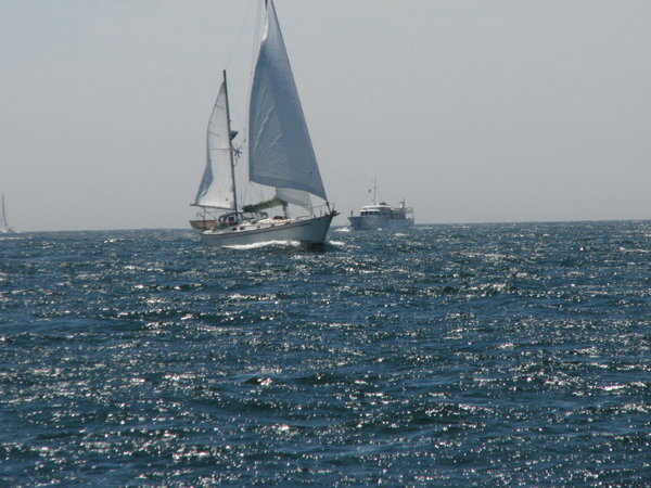 Another boat under sail