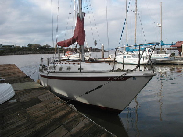 Last day she was in the water Feb 2008?  Before I bought her in the yard