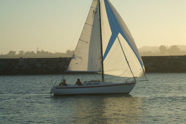 Sailing into the Santa Cruz Harbor under spinnaker